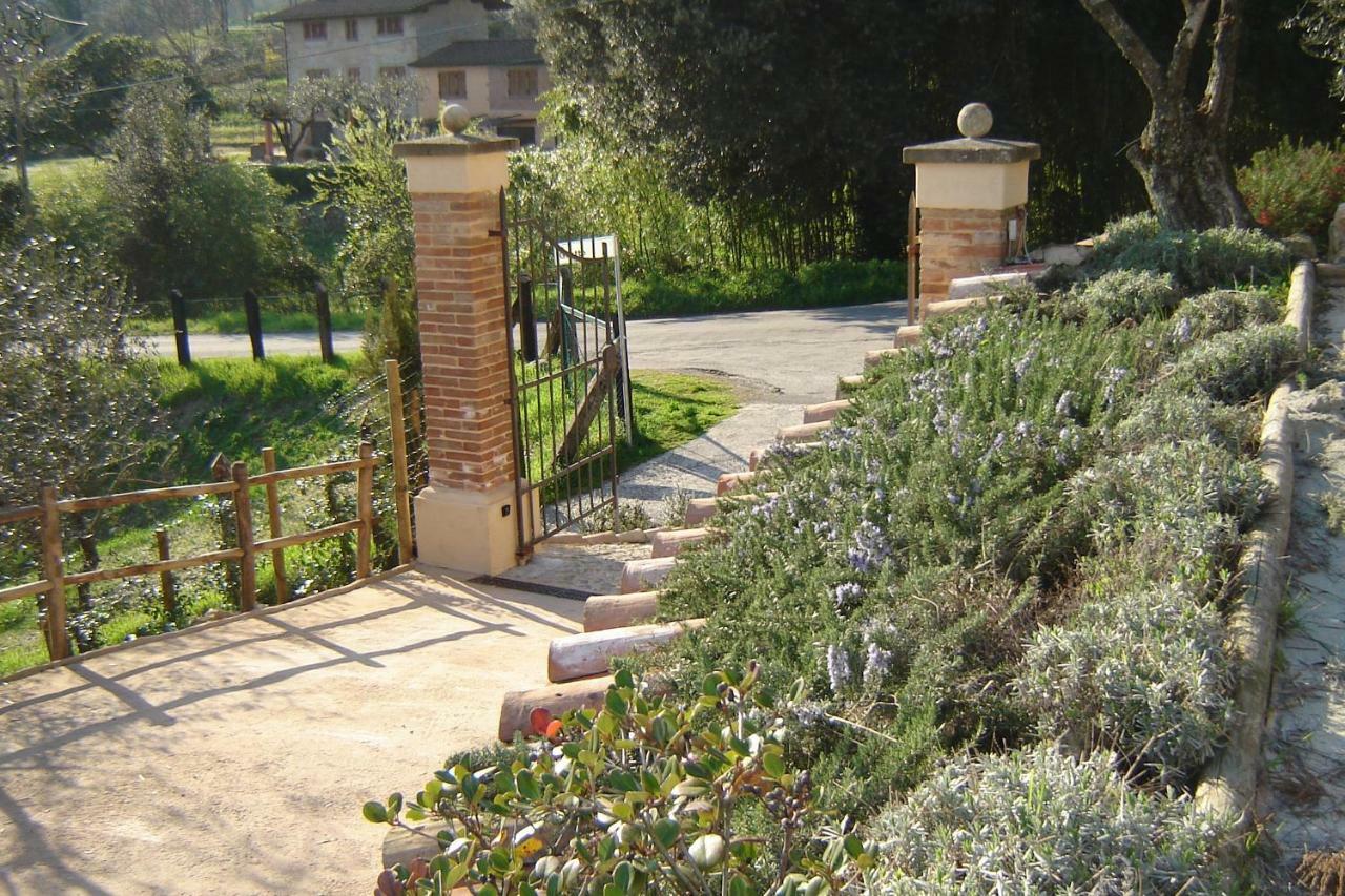 Valuable Rustic Tuscan Swimming Pool, Breathtaking View Of Camaiore Bagian luar foto
